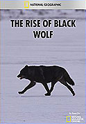 Vzestup černého vlka (2010)