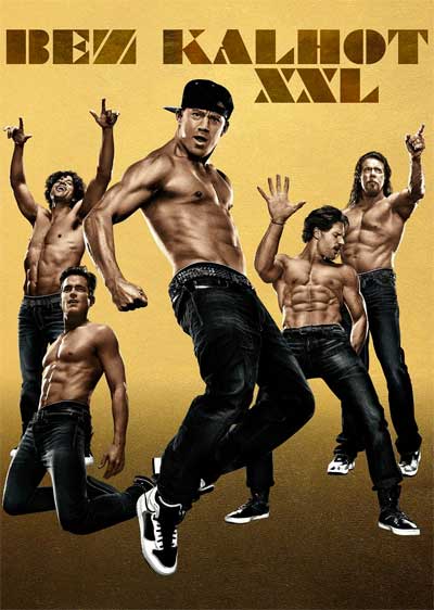 Online film Bez kalhot XXL (2015)