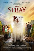 The Stray  (2017)