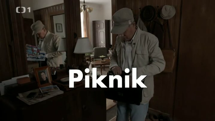 Piknik (2014)