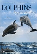 Delfíni očima špionážních kamer (2014)
