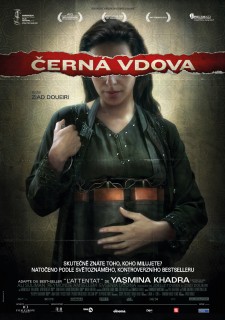 Online film Černá vdova (2012)