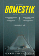 Domestik (2018)