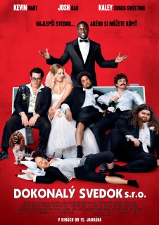 Online film Wedding Ringer, The