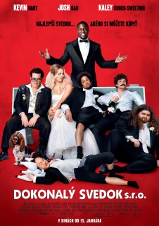 Wedding Ringer, The