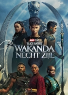 Black Panther: Wakanda nechť žije (2022)