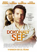 Dokonalý šéf (2015)