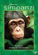 Šimpanzi (2012)