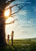 Miracles from Heaven (2016)