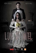 Luna de miel  (2015)