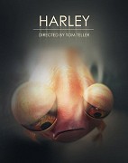 Harley Quinn’s Story (Arkham Series) HD (EN titulky) (2013)