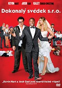 Online film  Dokonalý svědek s.r.o.    (2015)